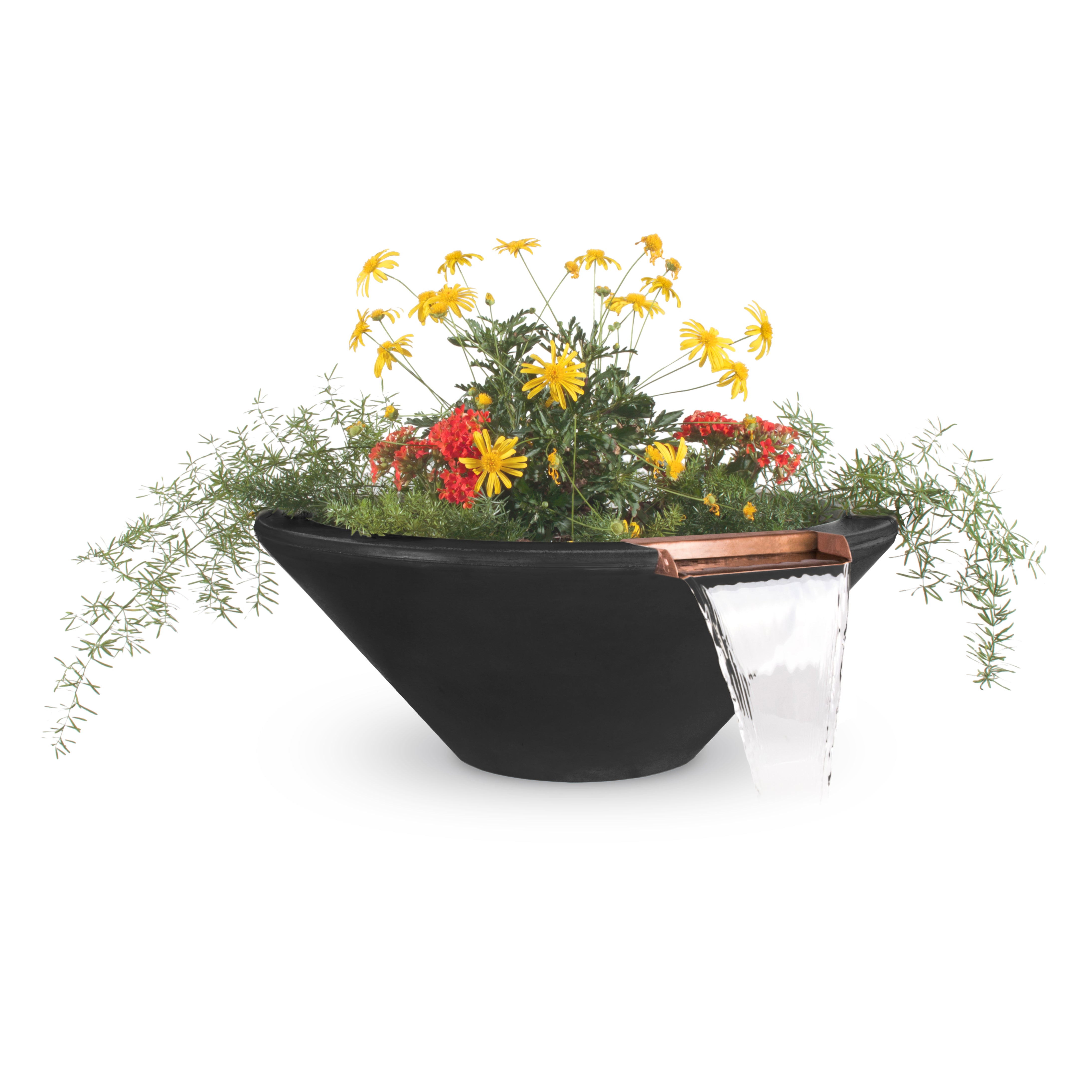 Black planter with flowers on a white background