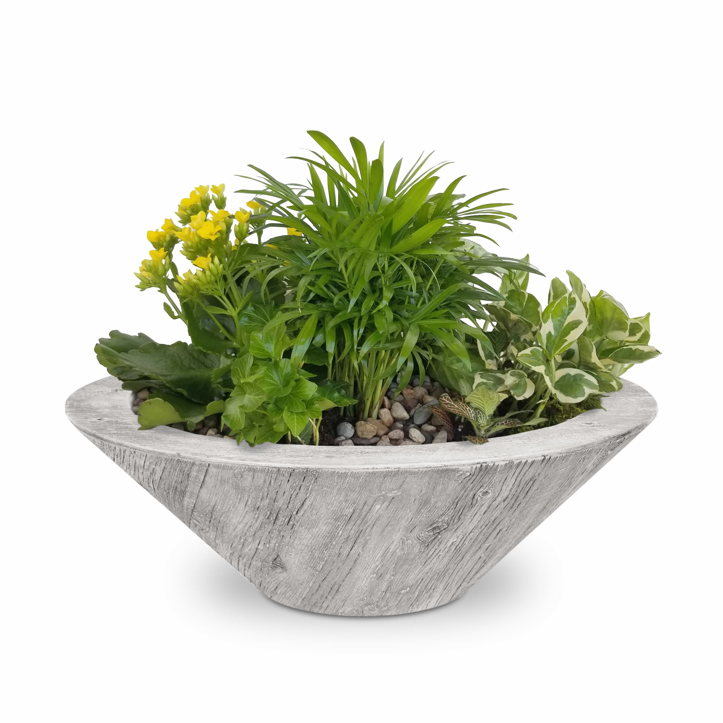 Decorative pot with green plants and small yellow flowers on a white background