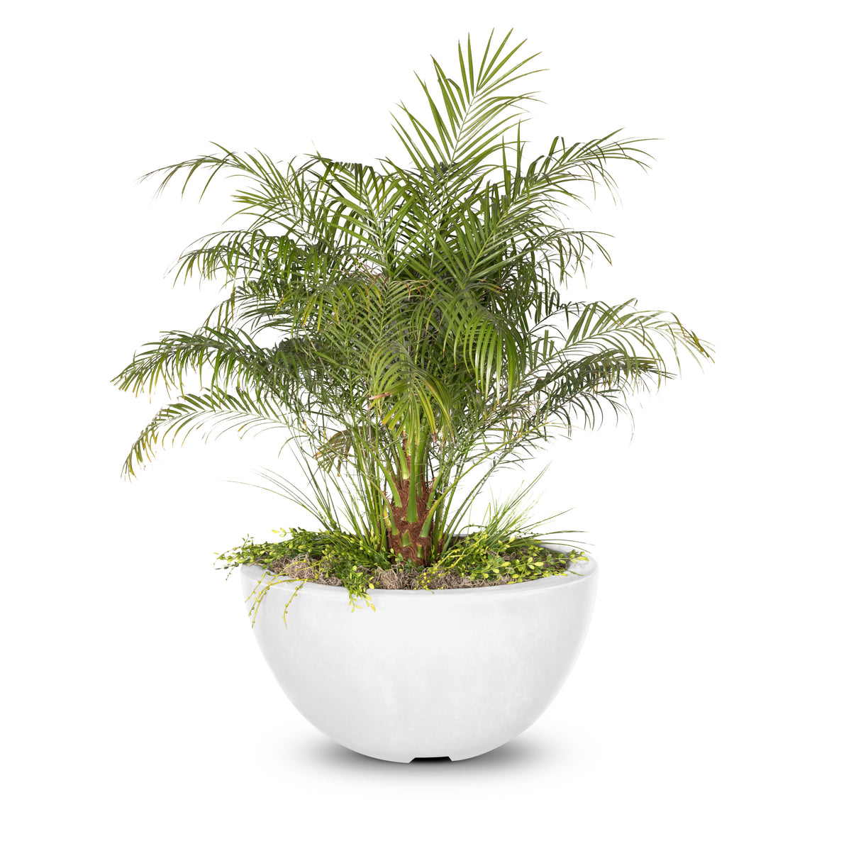 The Outdoor Plus Luna Planter Bowl – GFRC Concrete