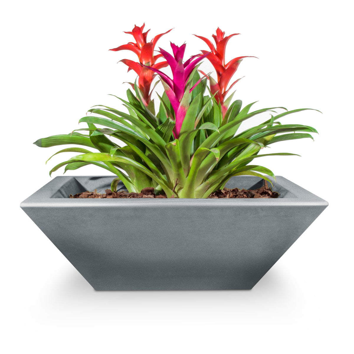 Potted plant with red and pink flowers in a geometric gray planter on a white background