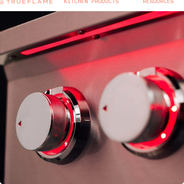 TrueFlame Power Burner