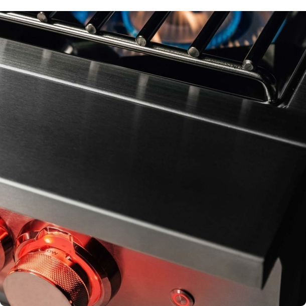 TrueFlame Power Burner