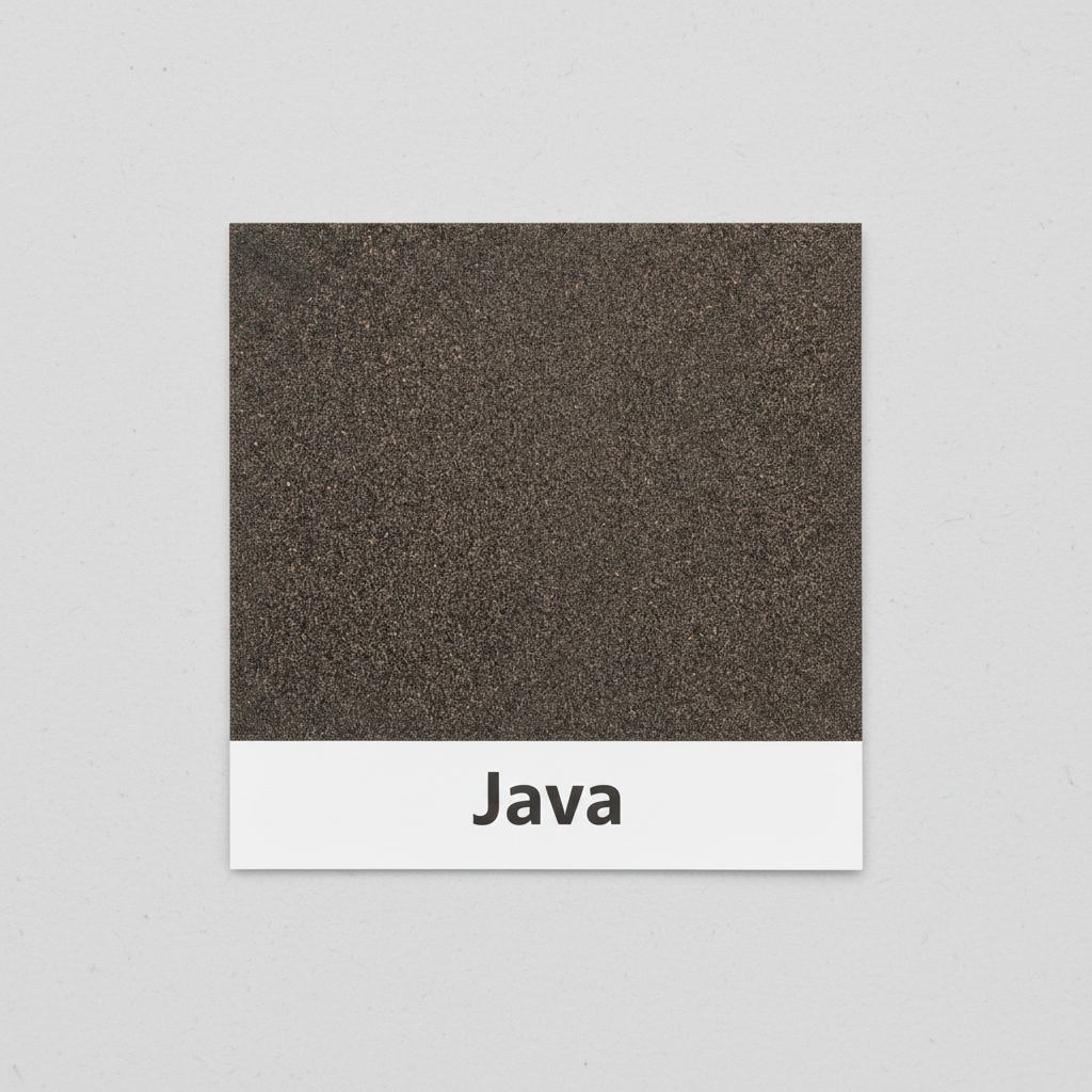 Java