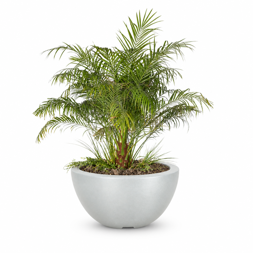 Luna planter in Metallic Pearl on a clean white background