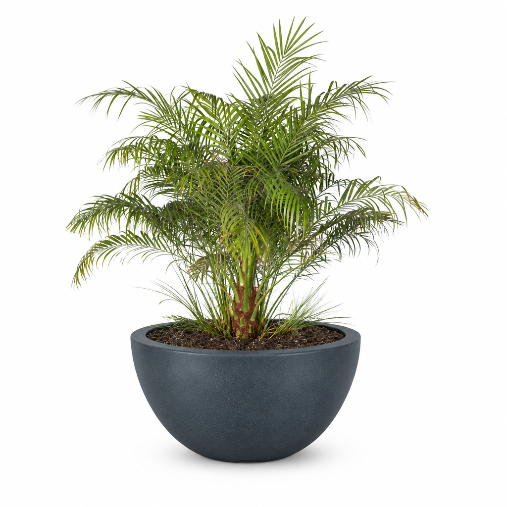 Luna planter in Metallic Slate on a clean white background