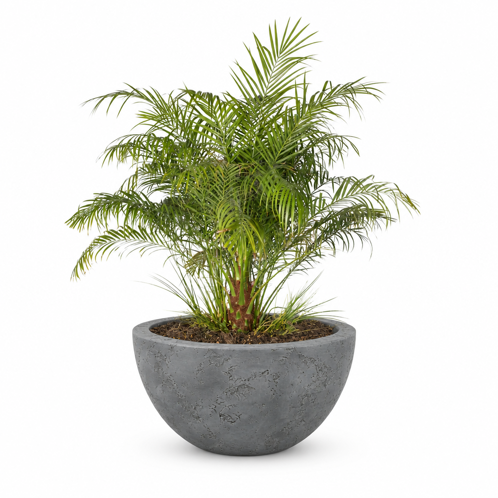 Luna planter in Rustic Grey on a clean white background