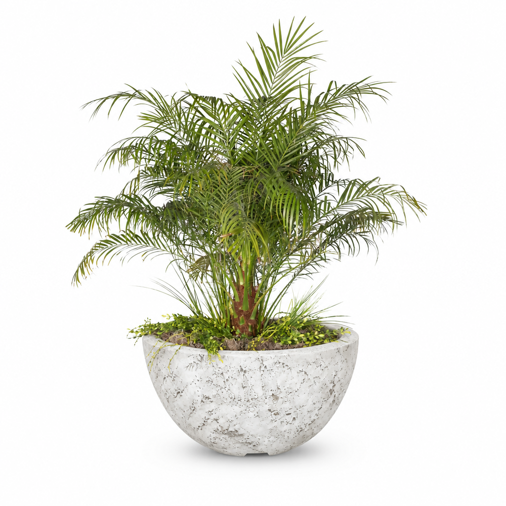 Luna planter in Rustic White on a clean white background