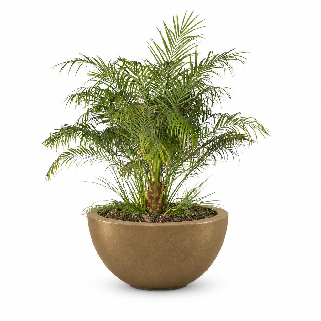 Luna planter in Metallic Bronze on a clean white background