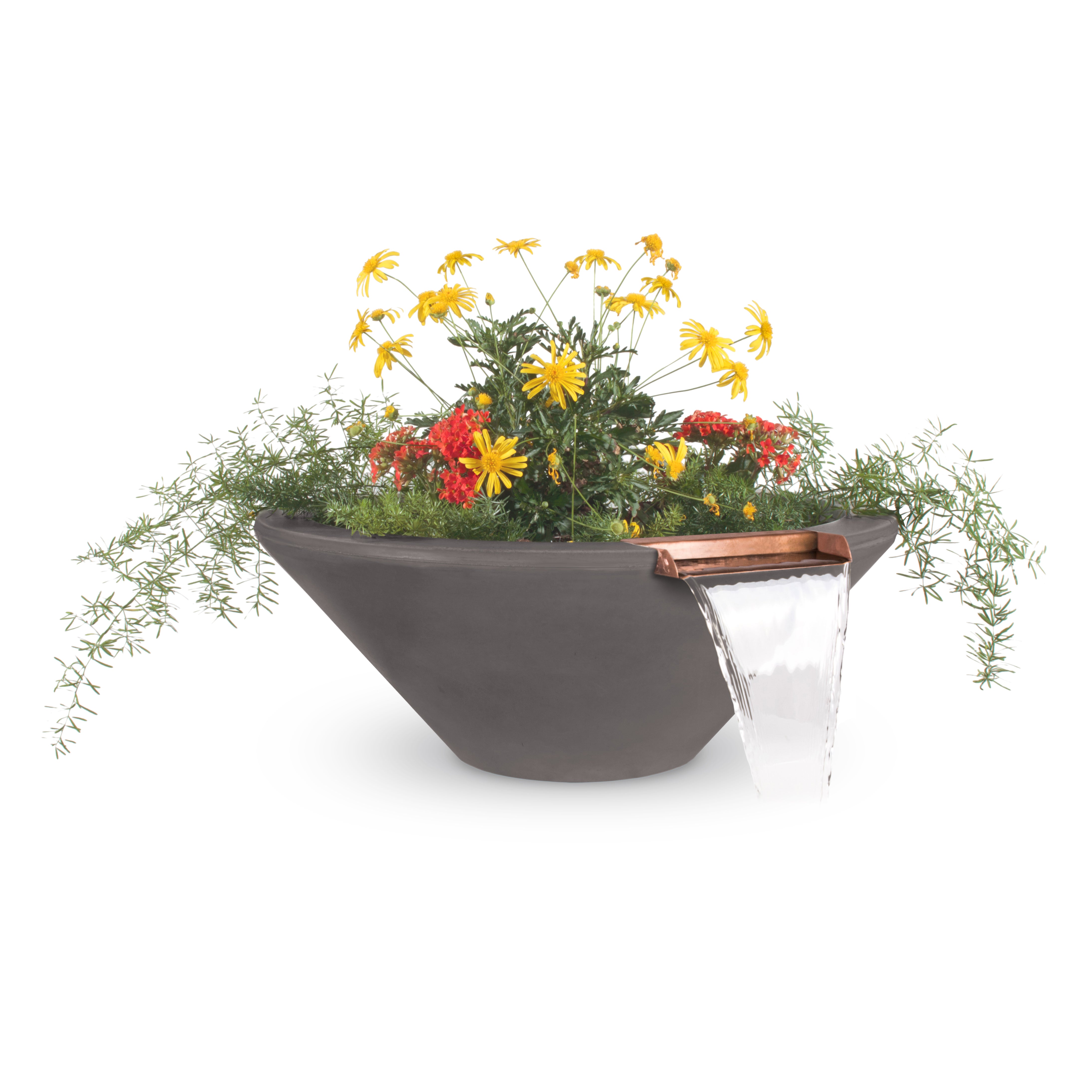 Modern gray planter with flowers on a white background