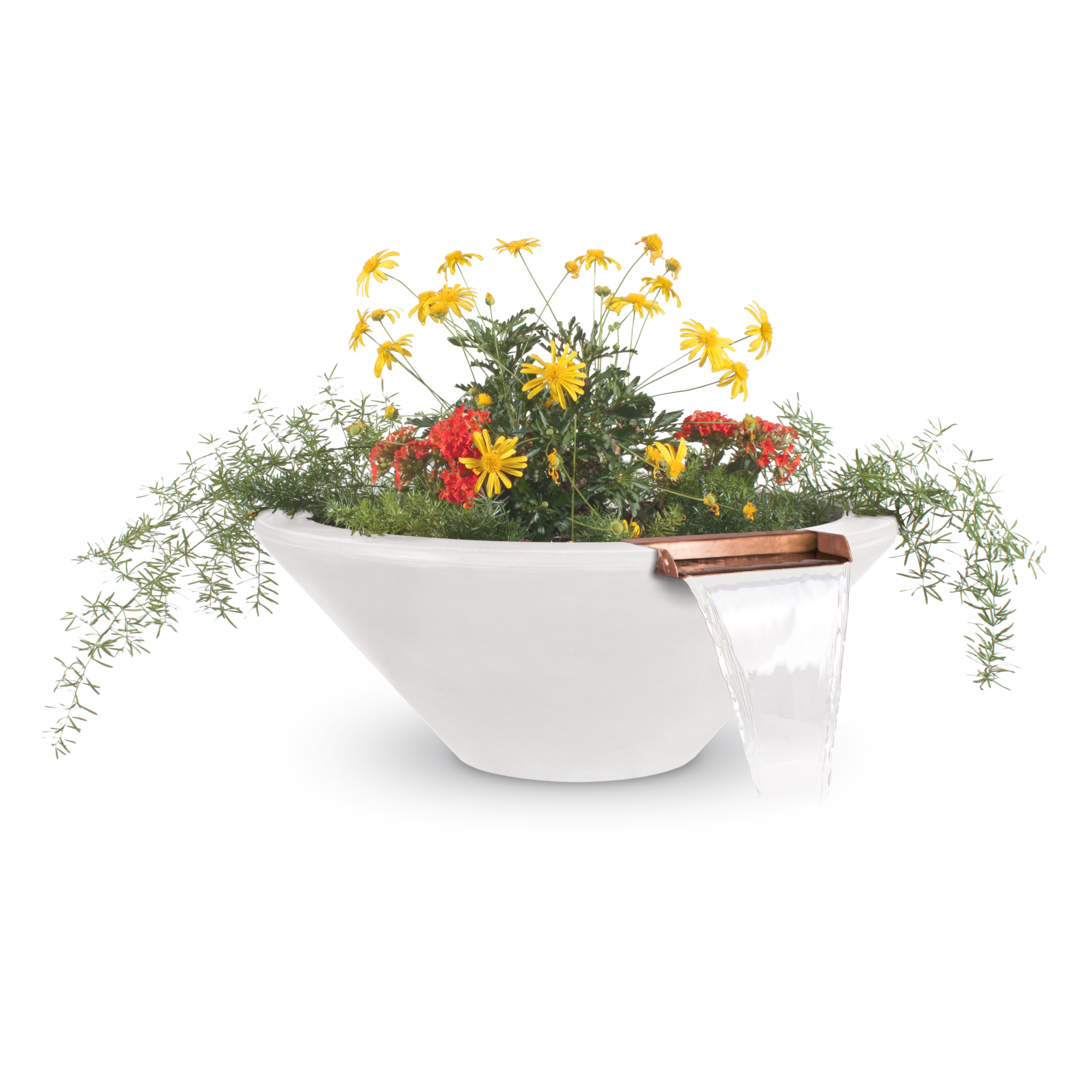 White planter with flowers on a white background
