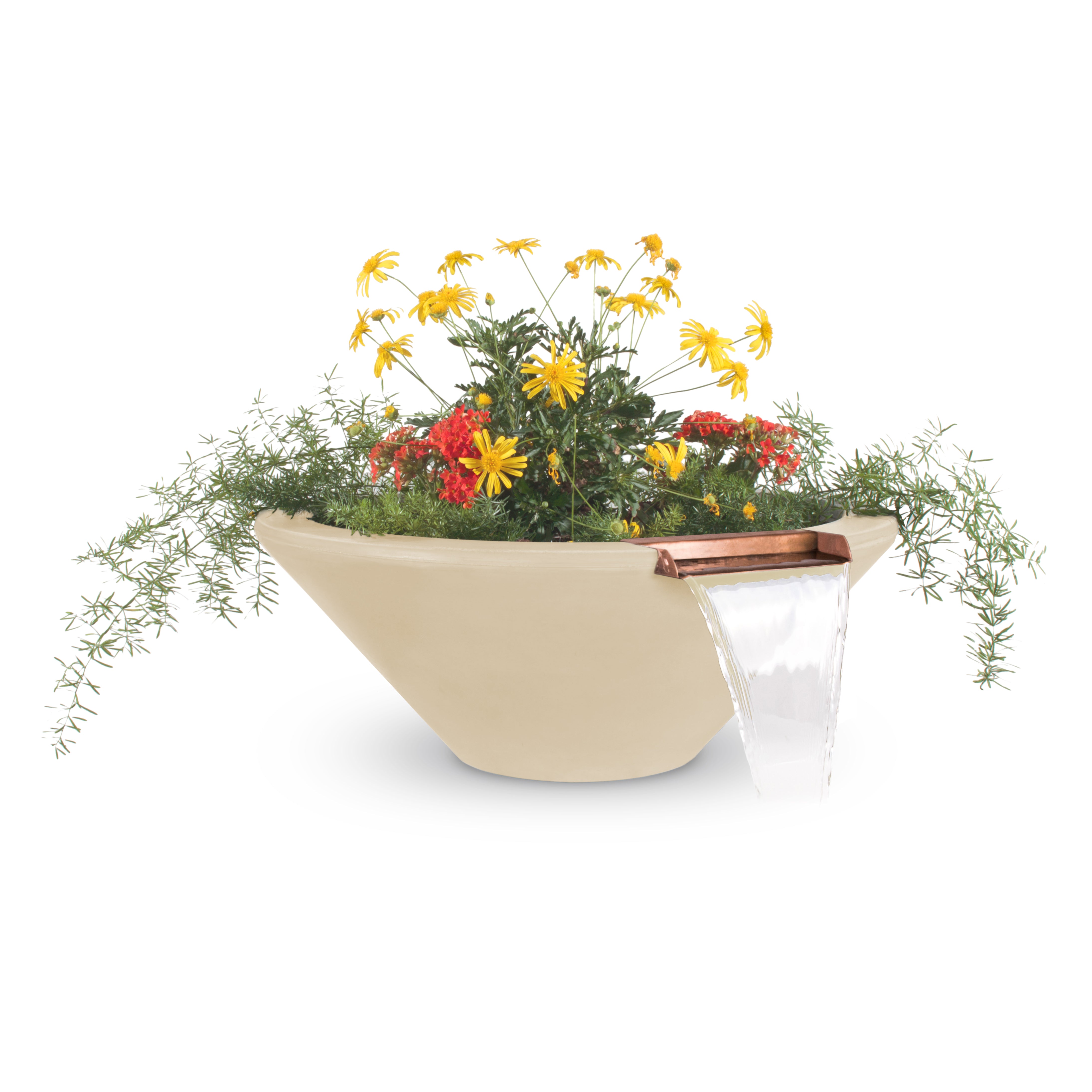 Beige planter with flowers on a white background