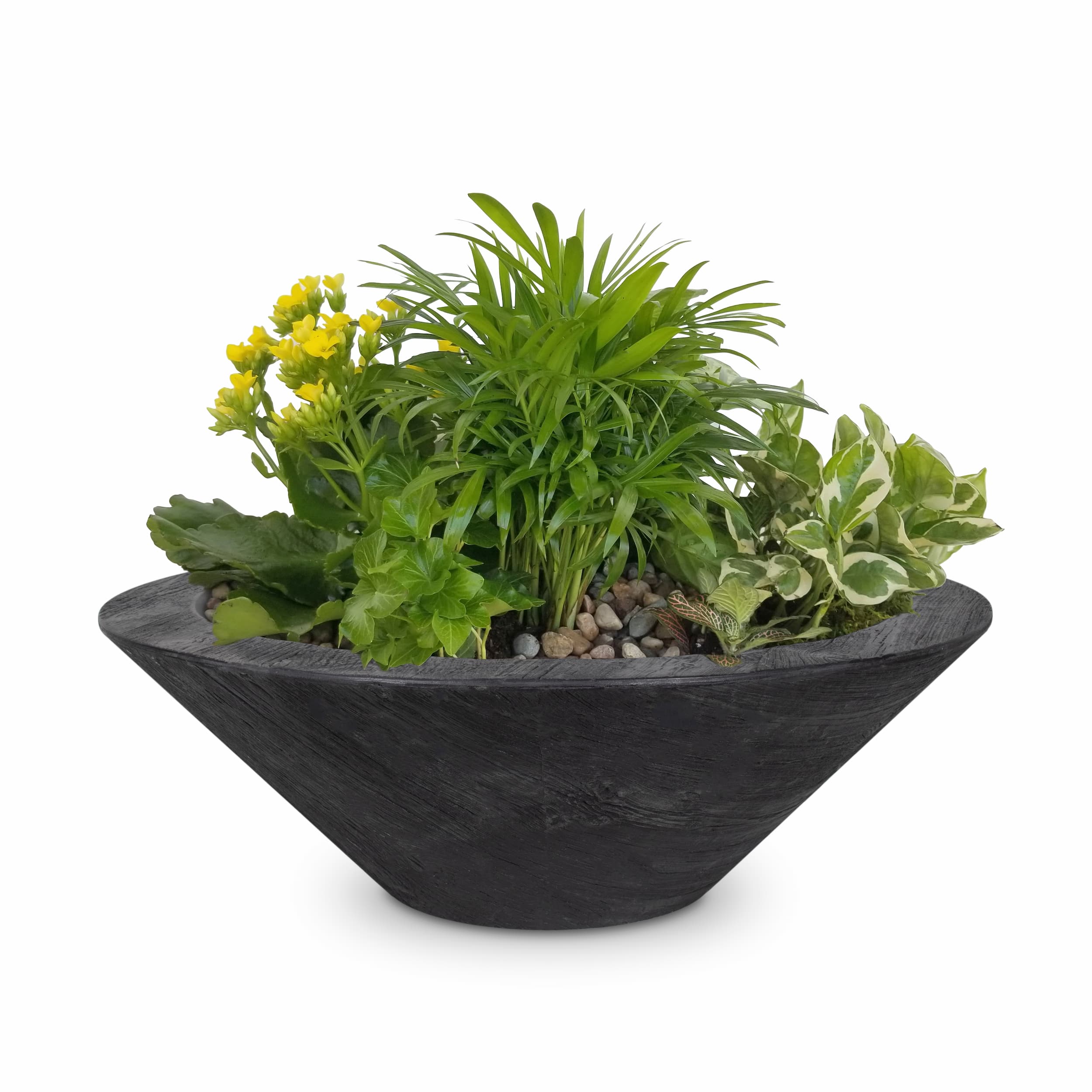 Black planter bowl with plants on a white background