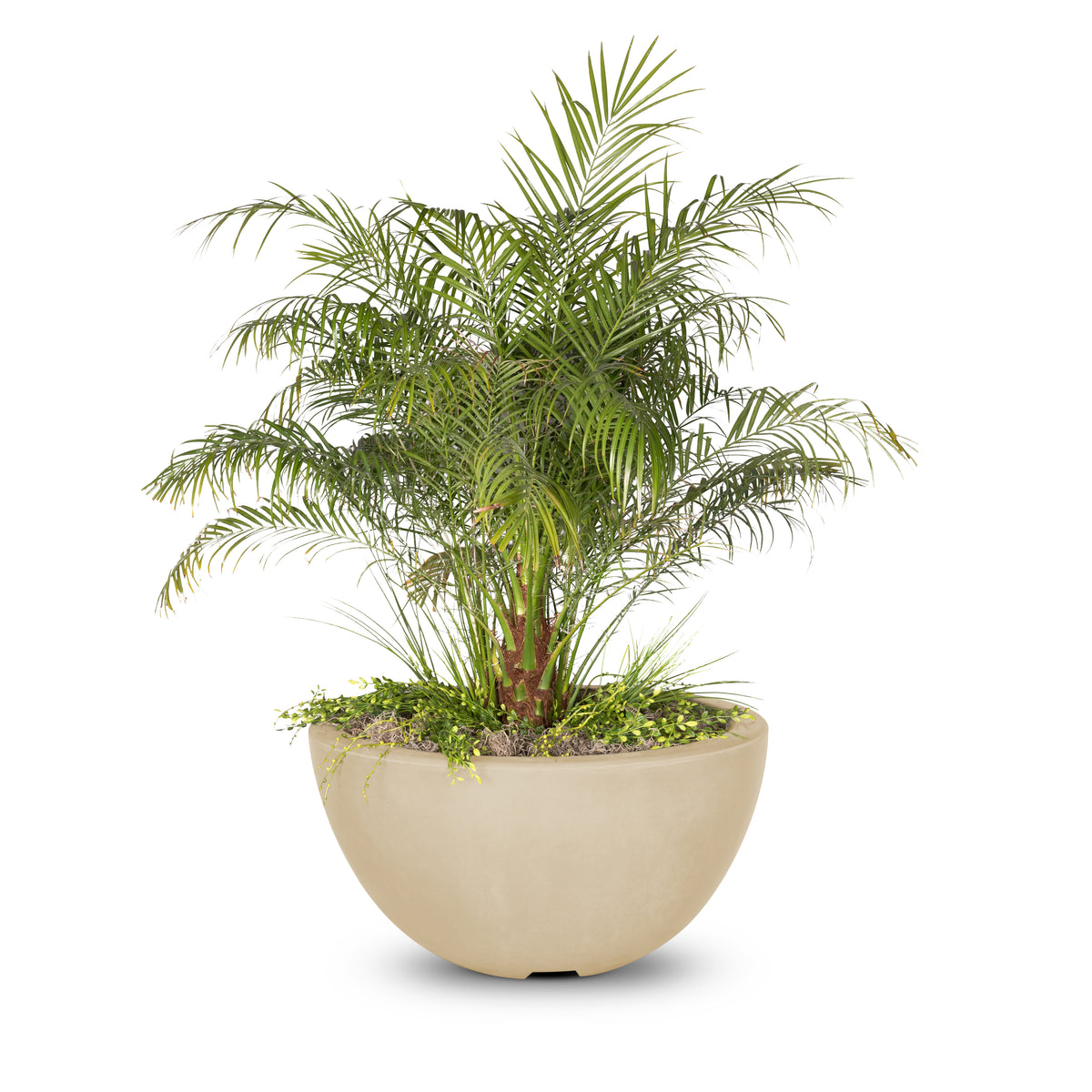 The Outdoor Plus Luna Planter Bowl – GFRC Concrete