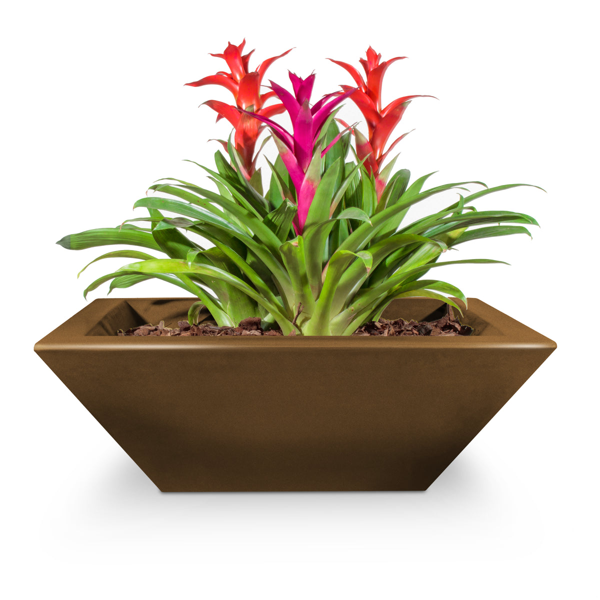 Potted plant with red and pink flowers in a brown container on a white background