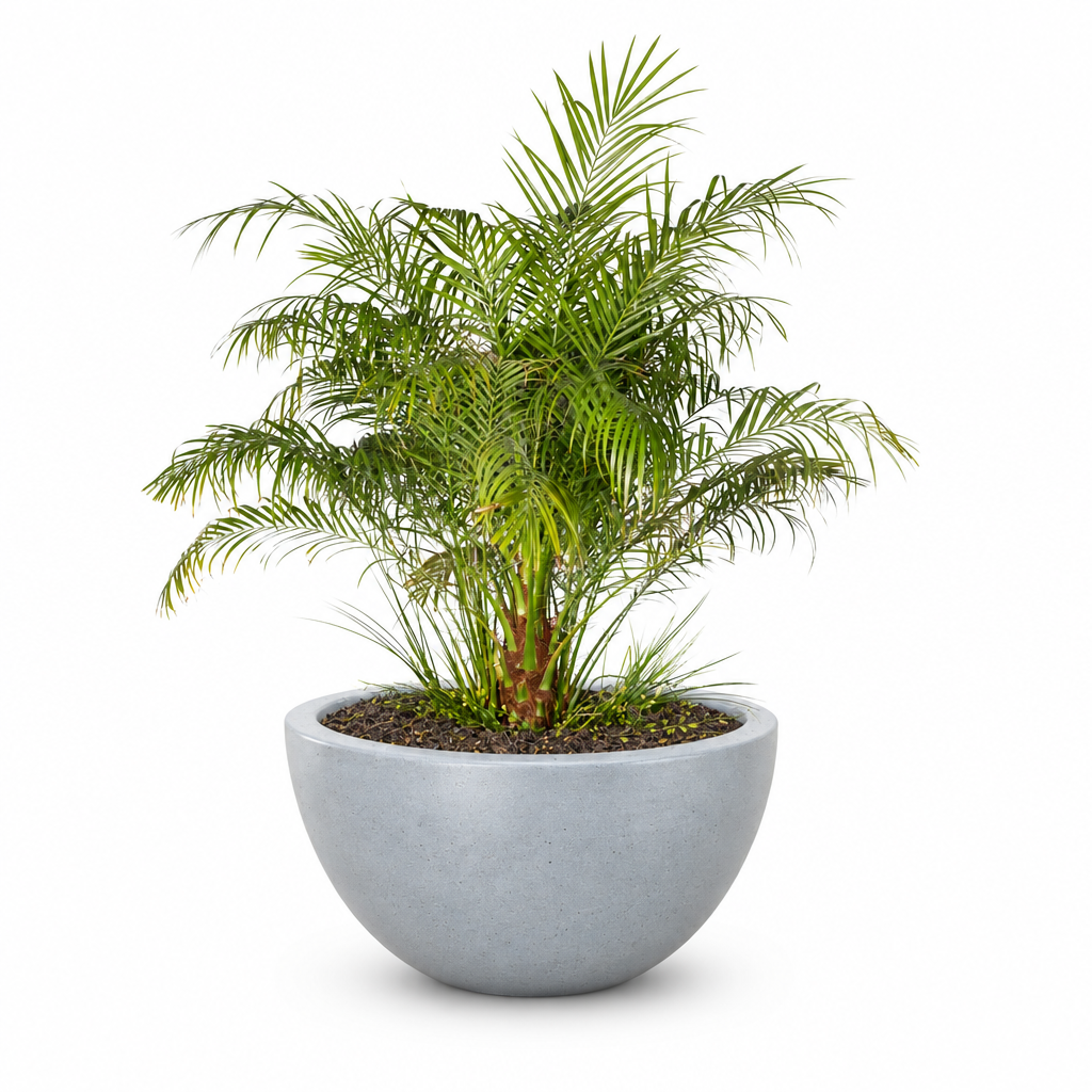 Luna planter in Metallic Silver on a clean white background