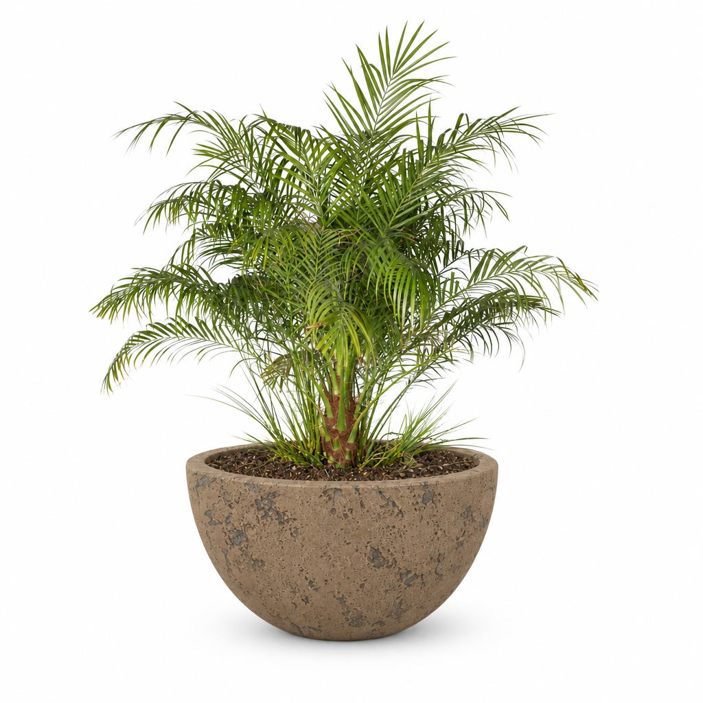 Luna planter in Rustic Coffee on a clean white background