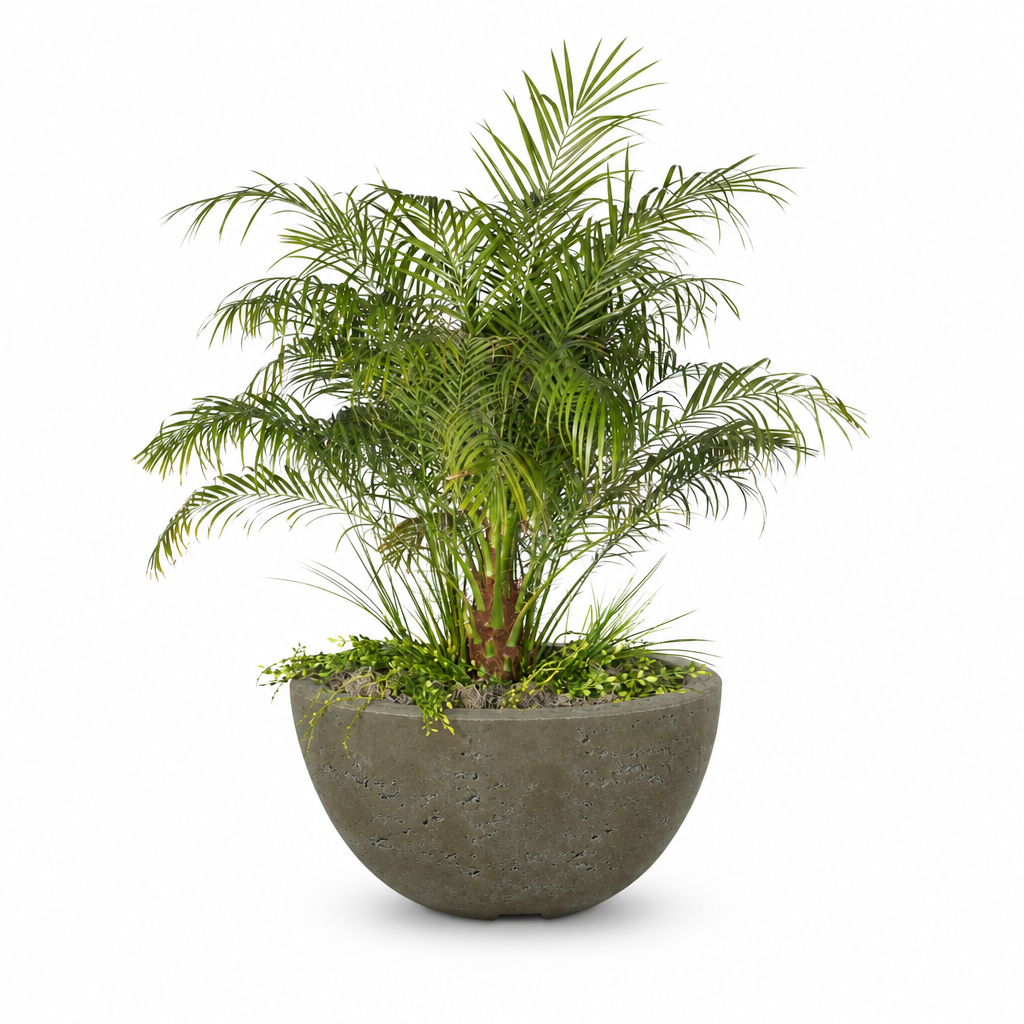 Luna planter in Rustic Moss Stone on a clean white background